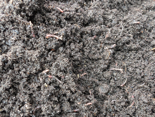 Bulk Bag Pete's Worm MIx 900ltr